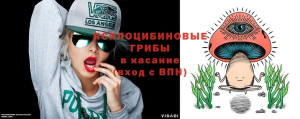 СК Гусев