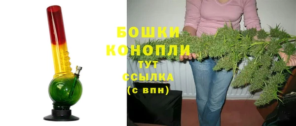 ГАЛЛЮЦИНОГЕННЫЕ ГРИБЫ Гусь-Хрустальный