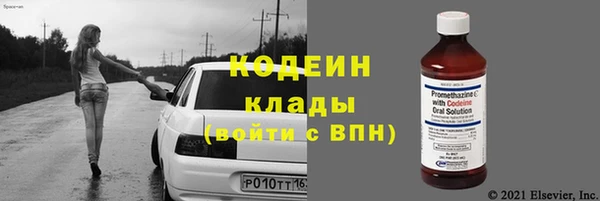 ГАЛЛЮЦИНОГЕННЫЕ ГРИБЫ Гусь-Хрустальный
