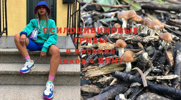 ГАЛЛЮЦИНОГЕННЫЕ ГРИБЫ Гусь-Хрустальный