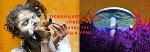 ГАЛЛЮЦИНОГЕННЫЕ ГРИБЫ Гусь-Хрустальный