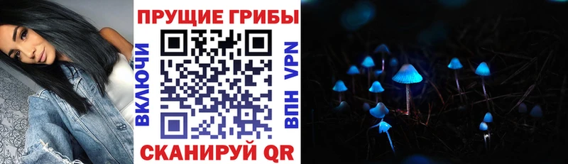 Галлюциногенные грибы MAGIC MUSHROOMS Донецк